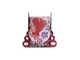 Домик-шкатулка "Пион" в коробке с комплектом красок, кисточкой и мягким пластилином Jovi (6 цветов)